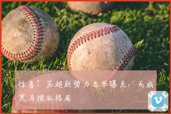 惊喜！苏超新势力名单曝光，或成黑马搅乱格局