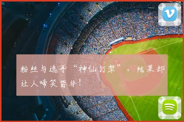 粉丝与选手“神仙打架”，结果却让人啼笑皆非！